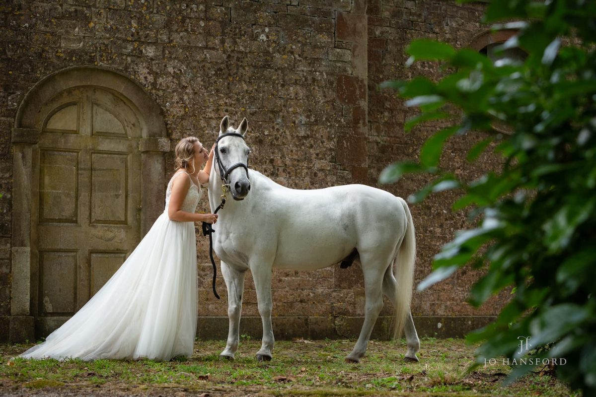 Konji za Fotografiranje